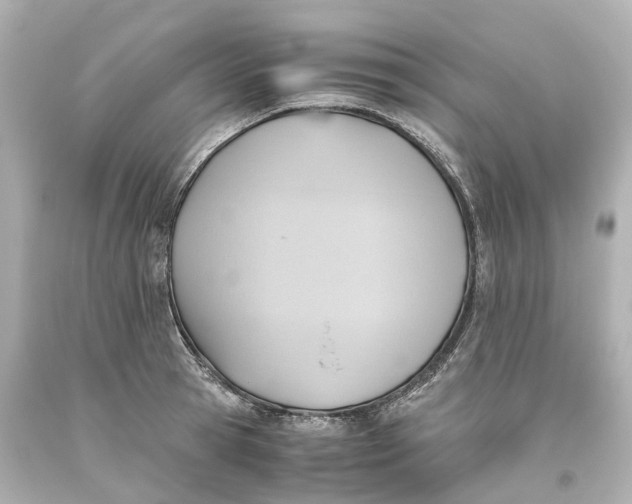 X0000093610945200711051216