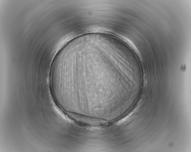 X0000093610946200711051216