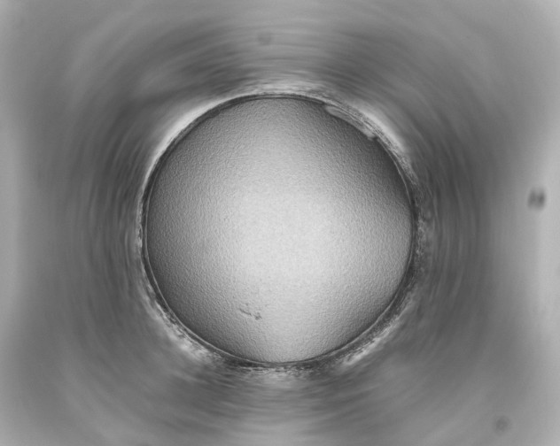 X0000093610948200711051216