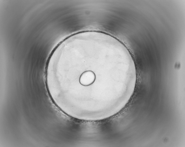X0000093610950200711051216