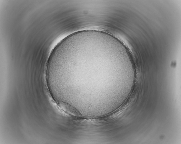 X0000093610952200711051216