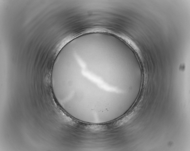 X0000093610953200711051216