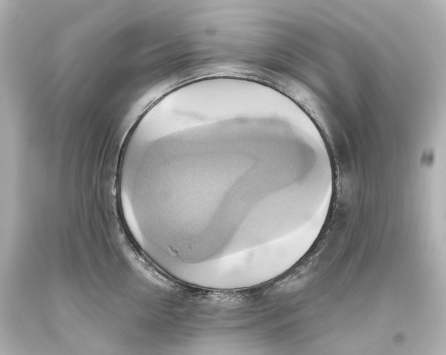 X0000093610954200711051216