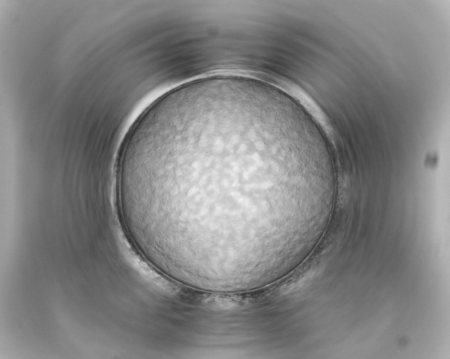 X0000093610955200711051216