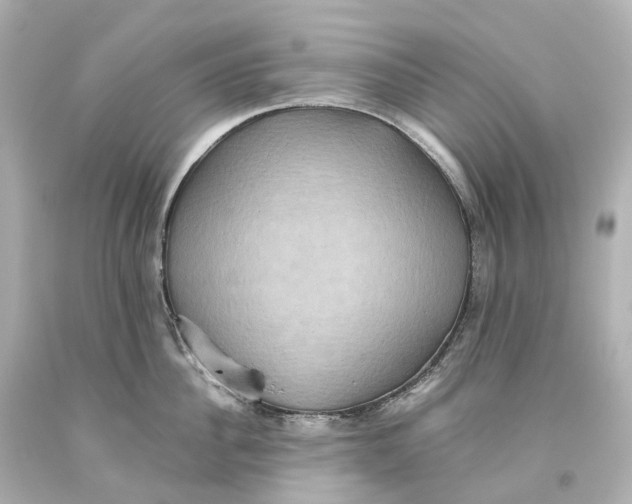 X0000093610956200711051216