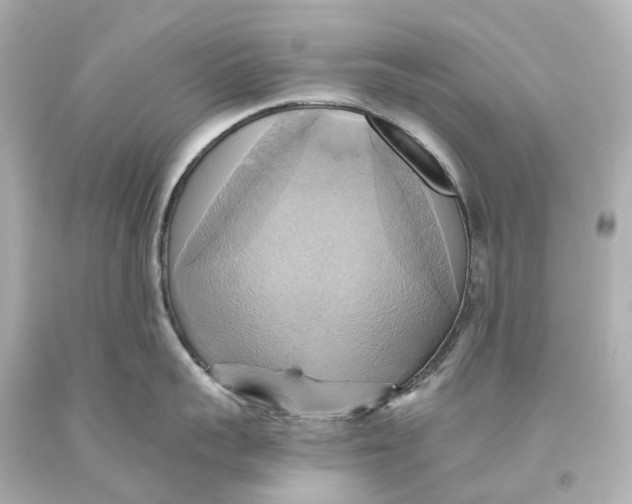 X0000093610959200711051216