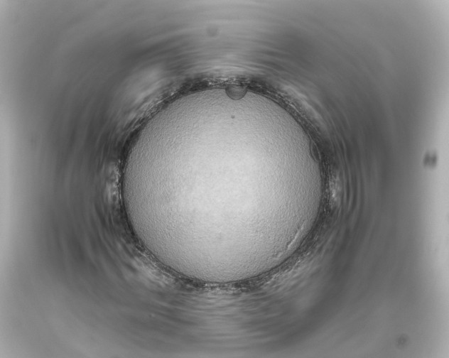 X0000093610964200711051216