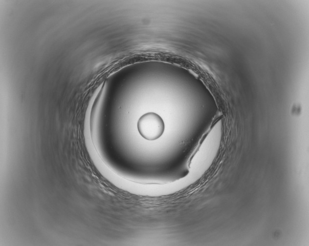 X0000093610965200711051216