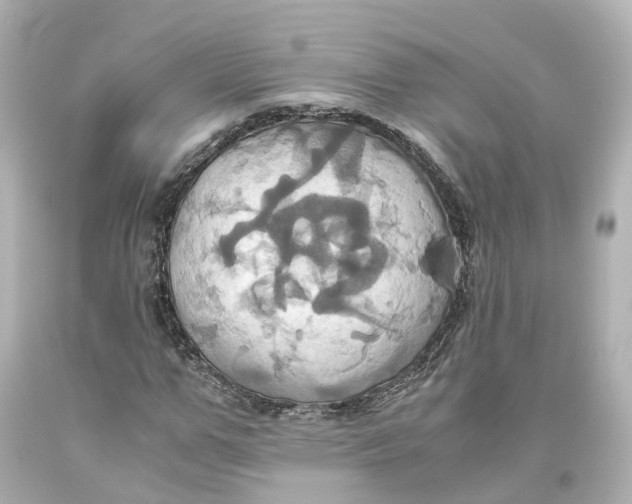 X0000093610967200711051216