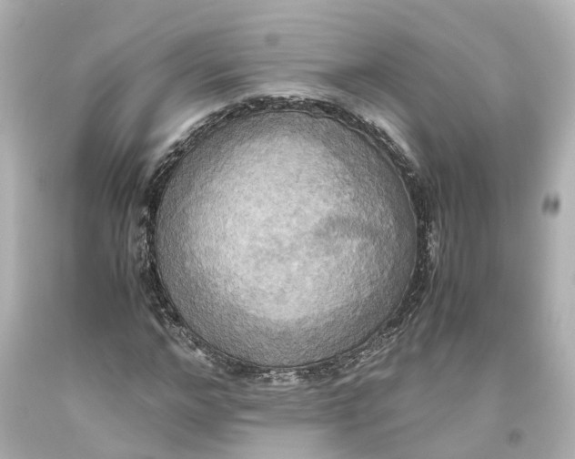X0000093610968200711051216