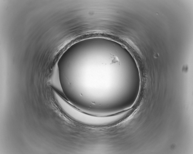 X0000093610969200711051216