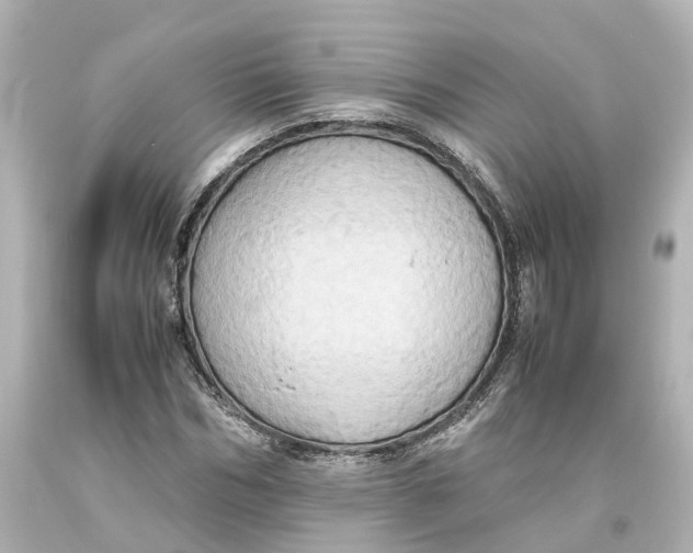 X0000093610970200711051216