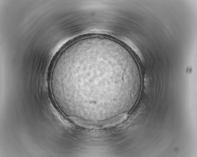 X0000093610972200711051216