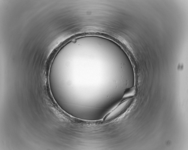 X0000093610973200711051216