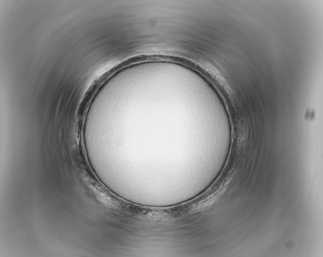 X0000093610974200711051216