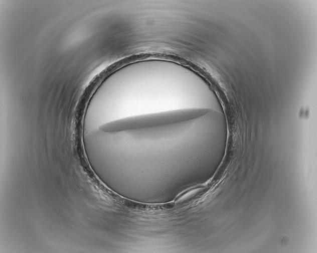 X0000093610975200711051216