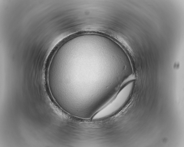 X0000093610976200711051216