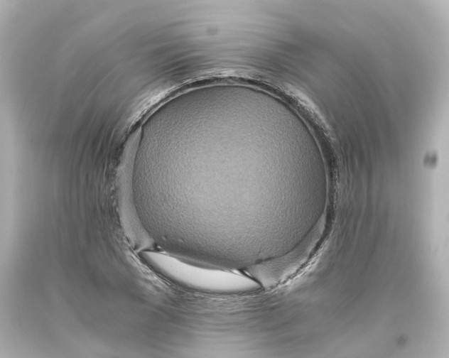 X0000093610977200711051216