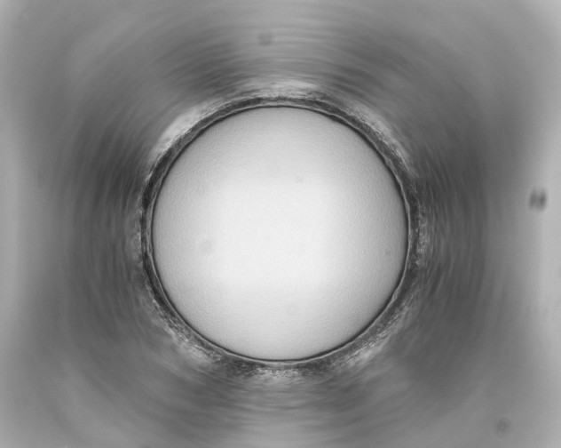 X0000093610978200711051215