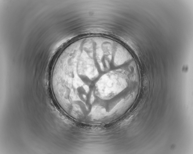 X0000093610979200711051215