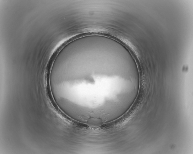X0000093610983200711051215