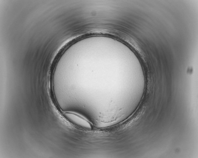 X0000093610984200711051215