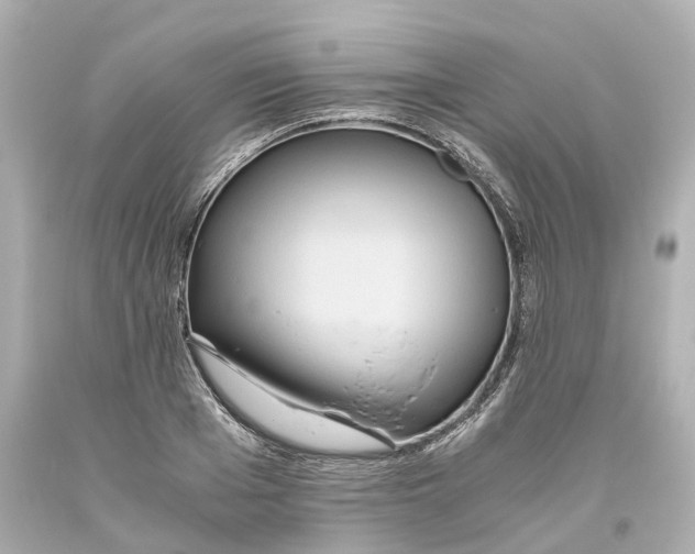 X0000093610985200711051215