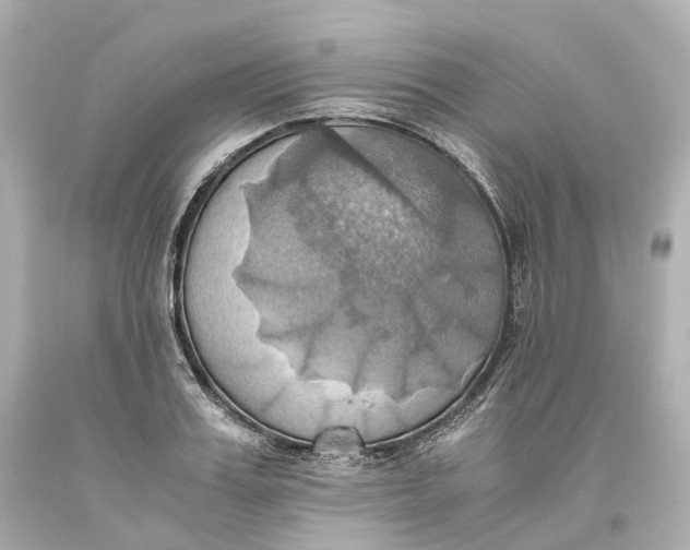 X0000093610987200711051215