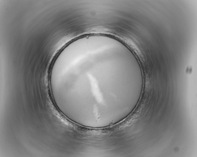 X0000093610990200711051215