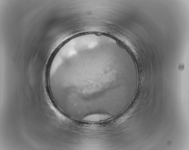 X0000093610991200711051215