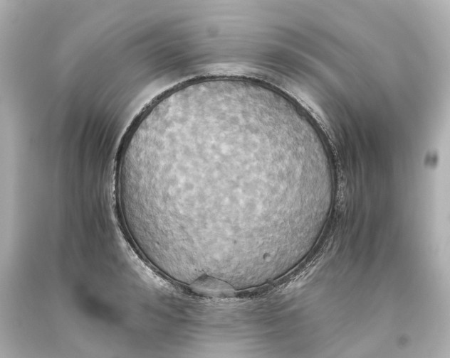 X0000093610992200711051215