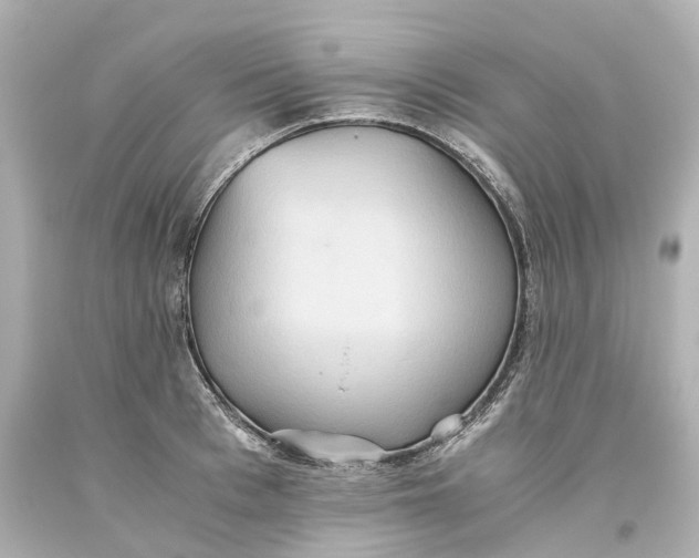 X0000093610993200711051215
