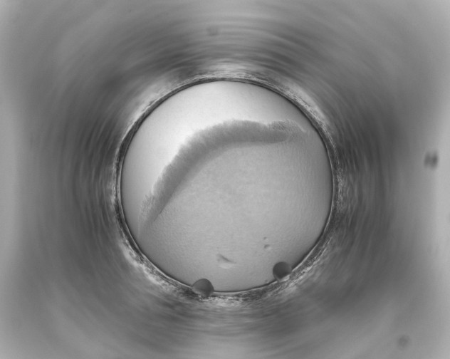 X0000093610994200711051215