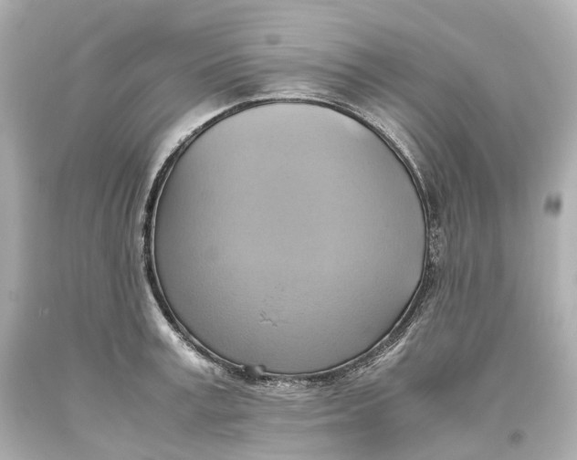 X0000093610995200711051215