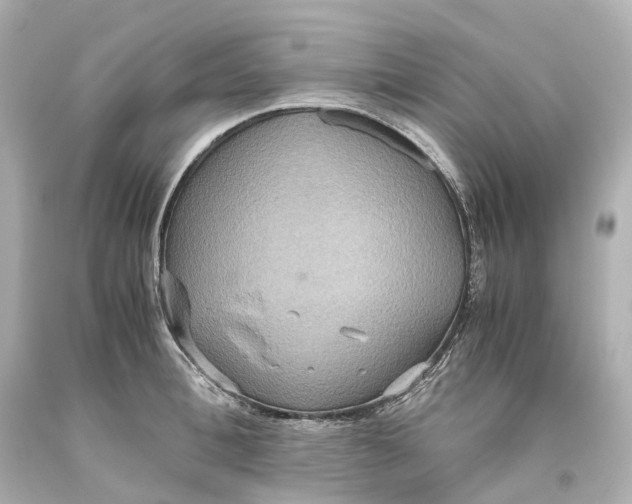 X0000093610996200711051215
