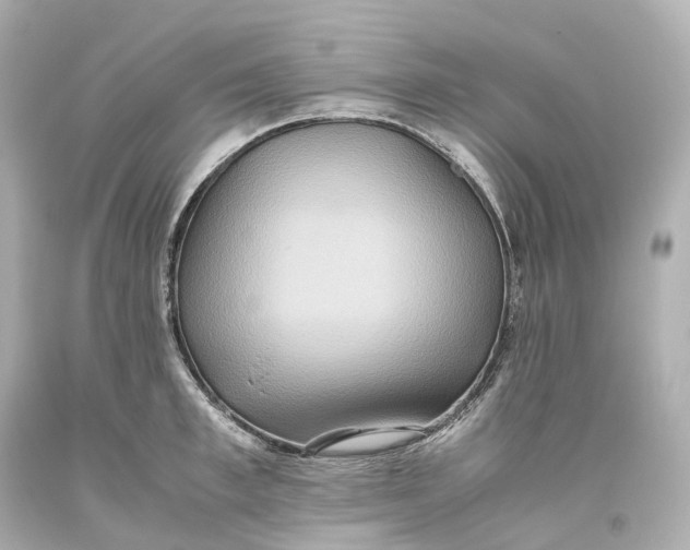 X0000093610997200711051215