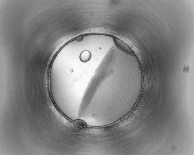 X0000093610998200711051215