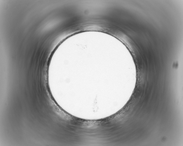 X0000093611000200711051215
