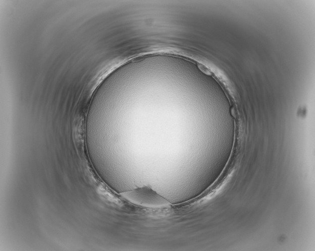 X0000093611001200711051215
