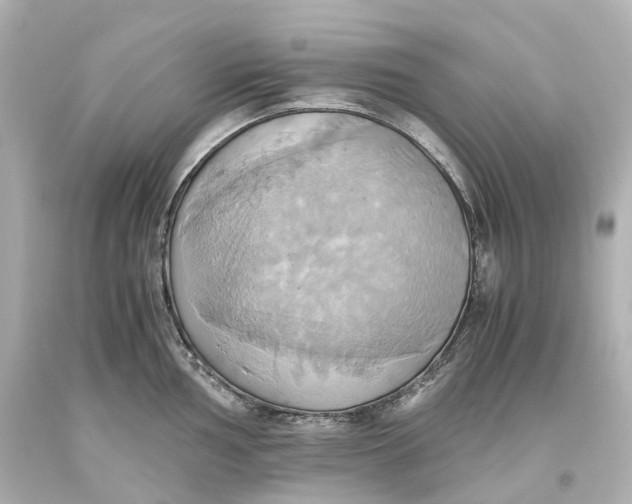 X0000093611002200711051215