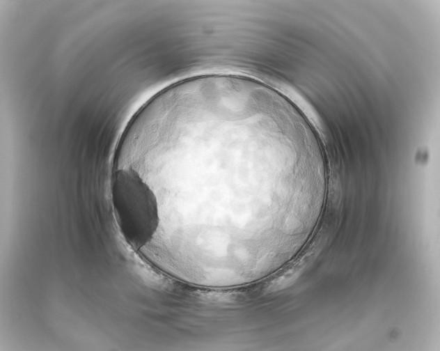 X0000093611004200711051215