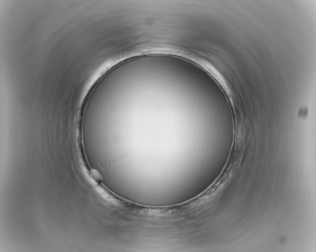 X0000093611005200711051215