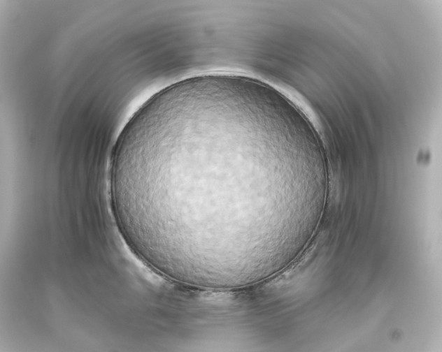 X0000093611006200711051215