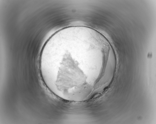 X0000093611008200711051215