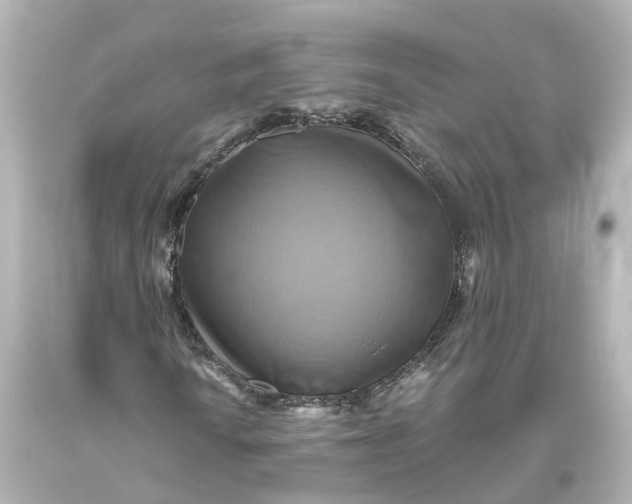 X0000093611010200711051215