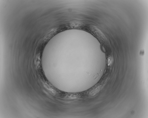 X0000093611011200711051215