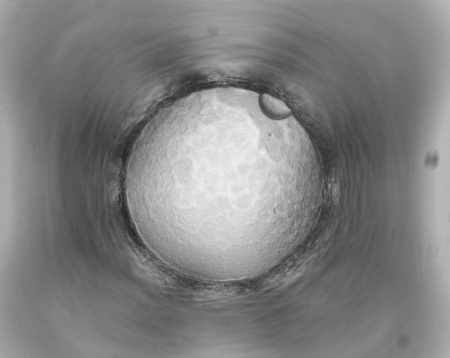 X0000093611012200711051215