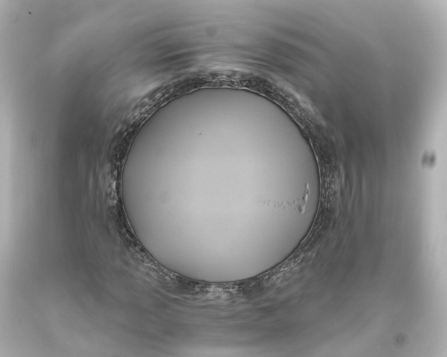 X0000093611013200711051215