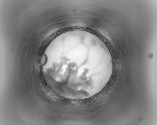 X0000093611015200711051215
