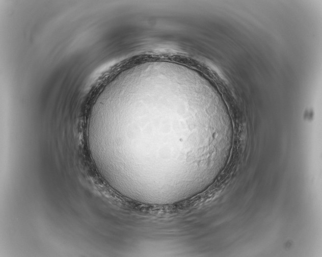 X0000093611016200711051215